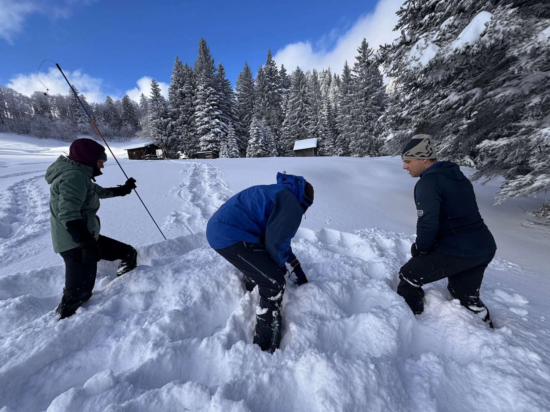 Drei Personen in Winterkleidung üben im Schnee auf einer Lichtung zwischen verschneiten Tannen die Lawinnenverschüttetensuche | © DAV-FN / Th. Gläser
