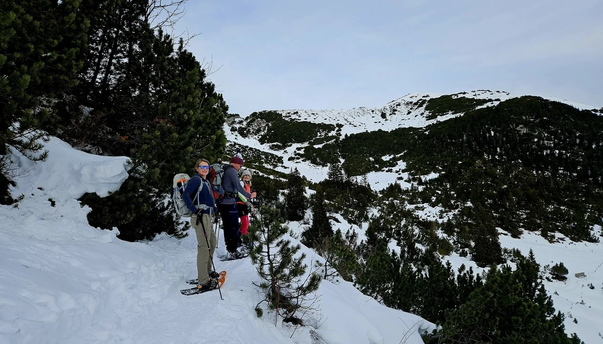 Drei Personen mit Schneeschuhen stehen auf einem verschneiten Bergpfad mit Nadelbäumen und Blick auf schneebedeckte Berggipfel | © DAV-FN / A. Schababerle