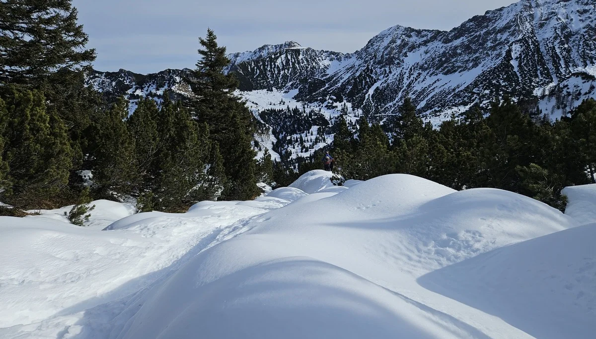 Schneebedeckte Hügel im Vordergrund mit Nadelbäumen und schneebedeckten Bergen im Hintergrund | © DAV-FN / A. Schababerle
