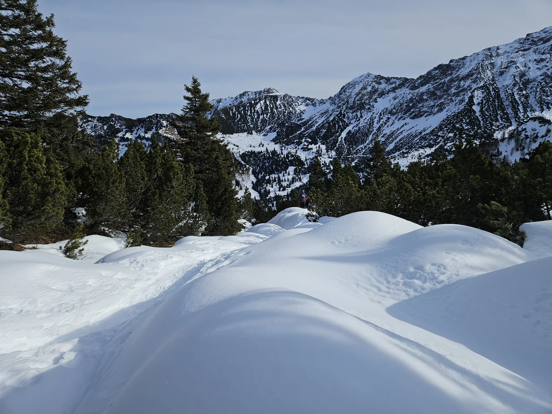 Schneebedeckte Hügel im Vordergrund mit Nadelbäumen und schneebedeckten Bergen im Hintergrund | © DAV-FN / A. Schababerle