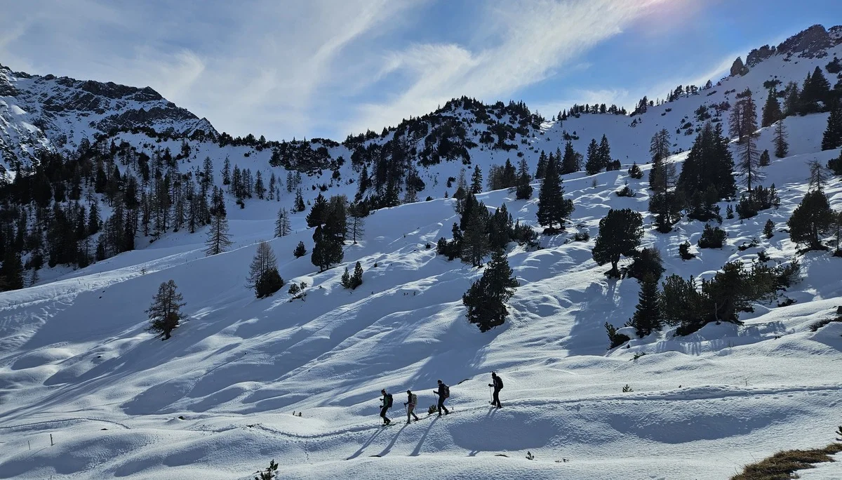 Vier Personen wandern in einer Reihe auf verschneitem Bergpfad unter bewölktem Himmel mit bewaldeten Berghängen im Hintergrund | © DAV-FN / A. Schababerle