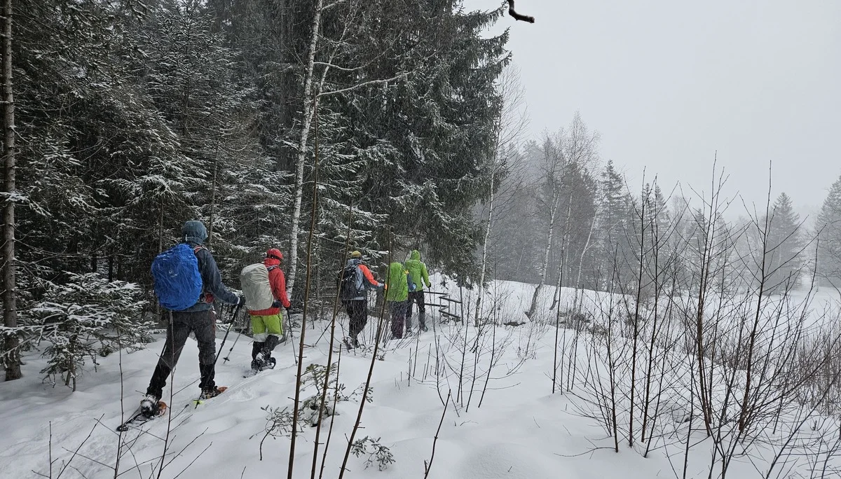Gruppe von fünf Personen mit Rucksäcken und Schneeschuhen wandert durch verschneiten Wald | © DAV-FN / A. Schababerle
