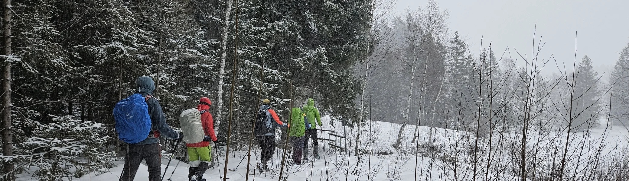 Gruppe von fünf Personen mit Rucksäcken und Schneeschuhen wandert durch verschneiten Wald | © DAV-FN / A. Schababerle