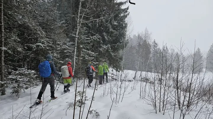 Gruppe von fünf Personen mit Rucksäcken und Schneeschuhen wandert durch verschneiten Wald | © DAV-FN / A. Schababerle
