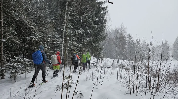 Gruppe von fünf Personen mit Rucksäcken und Schneeschuhen wandert durch verschneiten Wald | © DAV-FN / A. Schababerle