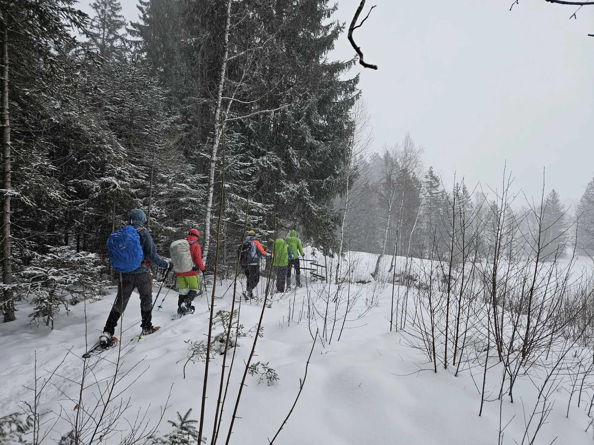 Gruppe von fünf Personen mit Rucksäcken und Schneeschuhen wandert durch verschneiten Wald | © DAV-FN / A. Schababerle