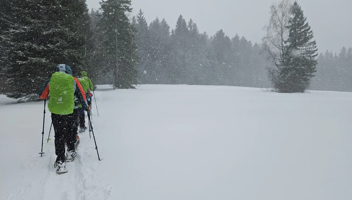 Gruppe von Personen mit Rucksäcken und Wanderstöcken wandert durch verschneite Landschaft mit Nadelbäumen bei Schneefall | © DAV-FN / A. Schababerle