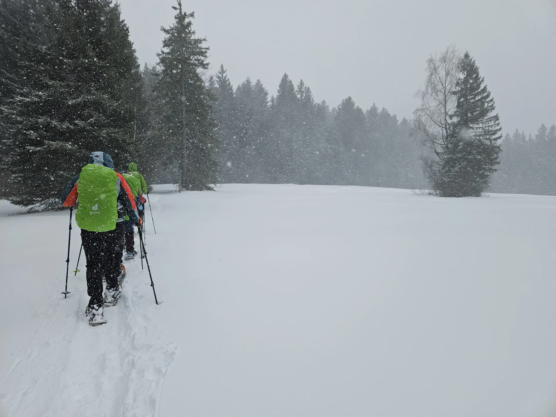 Gruppe von Personen mit Rucksäcken und Wanderstöcken wandert durch verschneite Landschaft mit Nadelbäumen bei Schneefall | © DAV-FN / A. Schababerle