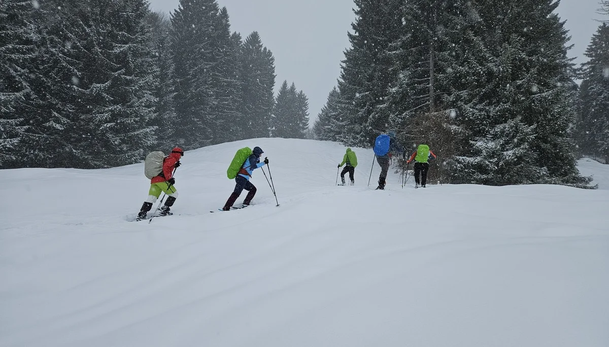 Fünf Schneeschuhgeher mit bunten Jacken steigen in einer verschneiten Waldlandschaft einen Hang hinauf | © DAV-FN / A. Schababerle