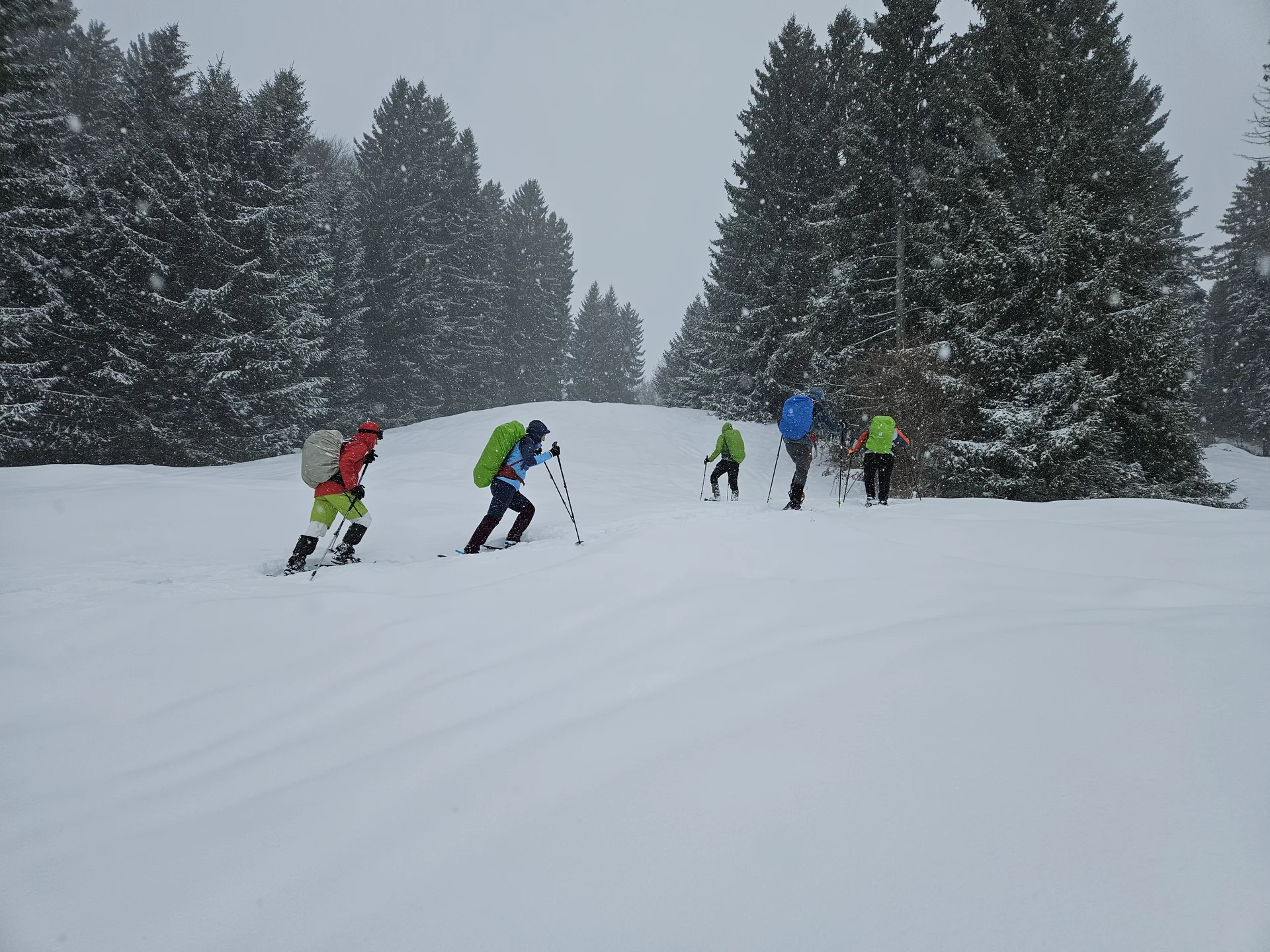 Fünf Schneeschuhgeher mit bunten Jacken steigen in einer verschneiten Waldlandschaft einen Hang hinauf | © DAV-FN / A. Schababerle