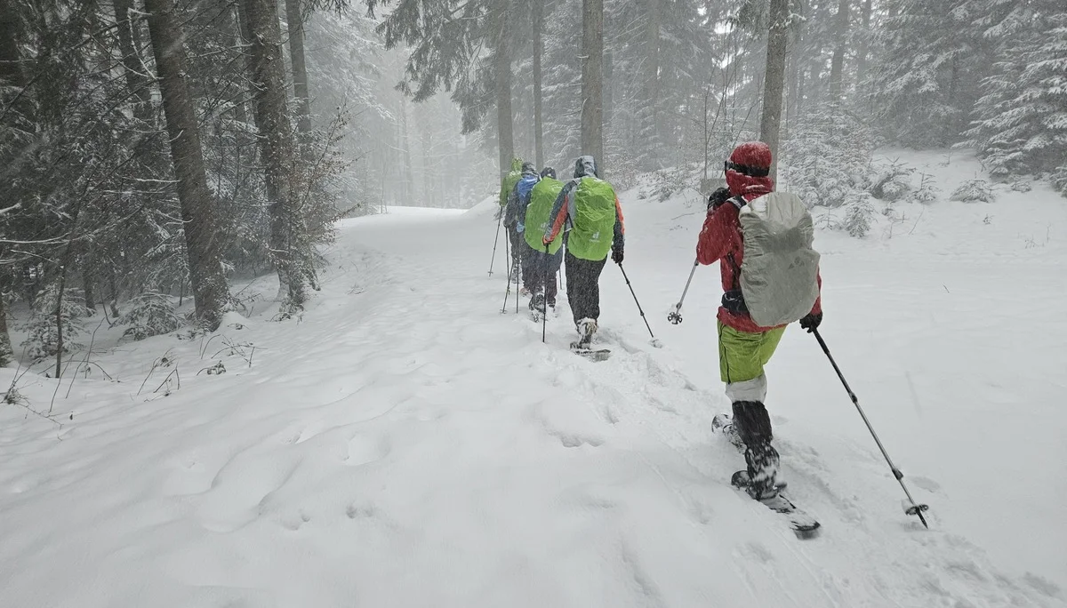 Gruppe von Schneeschuhgehern mit Rucksäcken und Skistöcken wandert durch verschneiten Wald | © DAV-FN / A. Schababerle