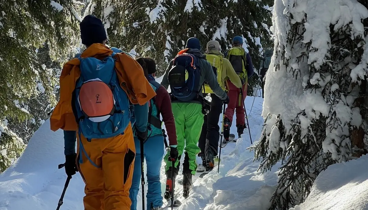 Gruppe von Skitourengehern mit bunten Skianzügen und Rucksäcken wandert auf verschneitem Waldweg | © DAV-FN / C. + C. Ritter
