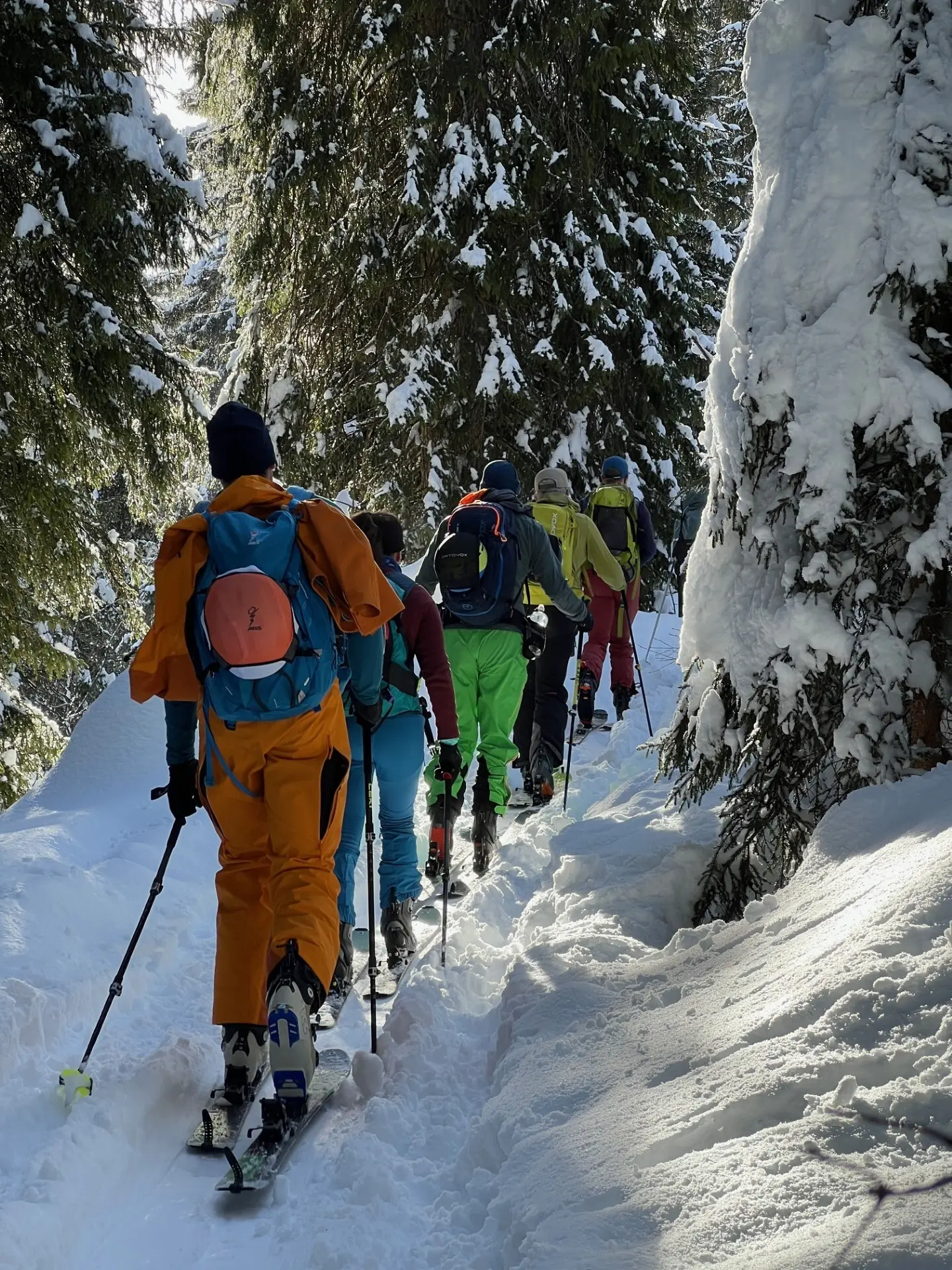 Gruppe von Skitourengehern mit bunten Skianzügen und Rucksäcken wandert auf verschneitem Waldweg | © DAV-FN / C. + C. Ritter