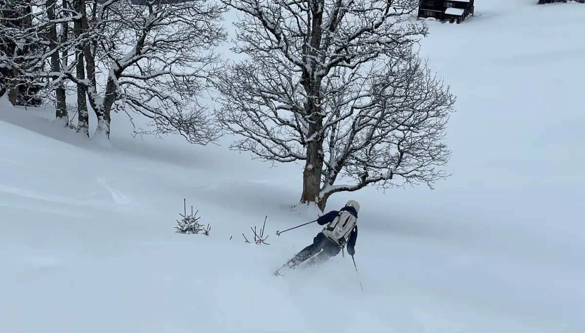 Skifahrer fährt in verschneiter Landschaft an kahlen Bäumen und Holzhütten vorbei | © DAV-FN / C. + C. Ritter