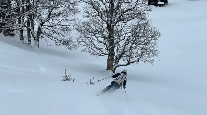 Skifahrer fährt in verschneiter Landschaft an kahlen Bäumen und Holzhütten vorbei | © DAV-FN / C. + C. Ritter