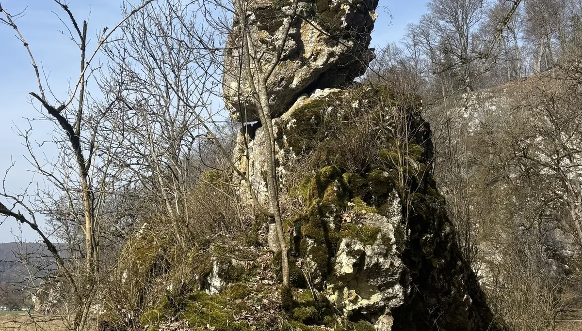 Großer, moosbewachsener Felsen mit einem schmalen, aufrecht stehenden Teil in einer Landschaft mit kahlen Bäumen und einem Weg daneben | © DAV-FN / A. Schech