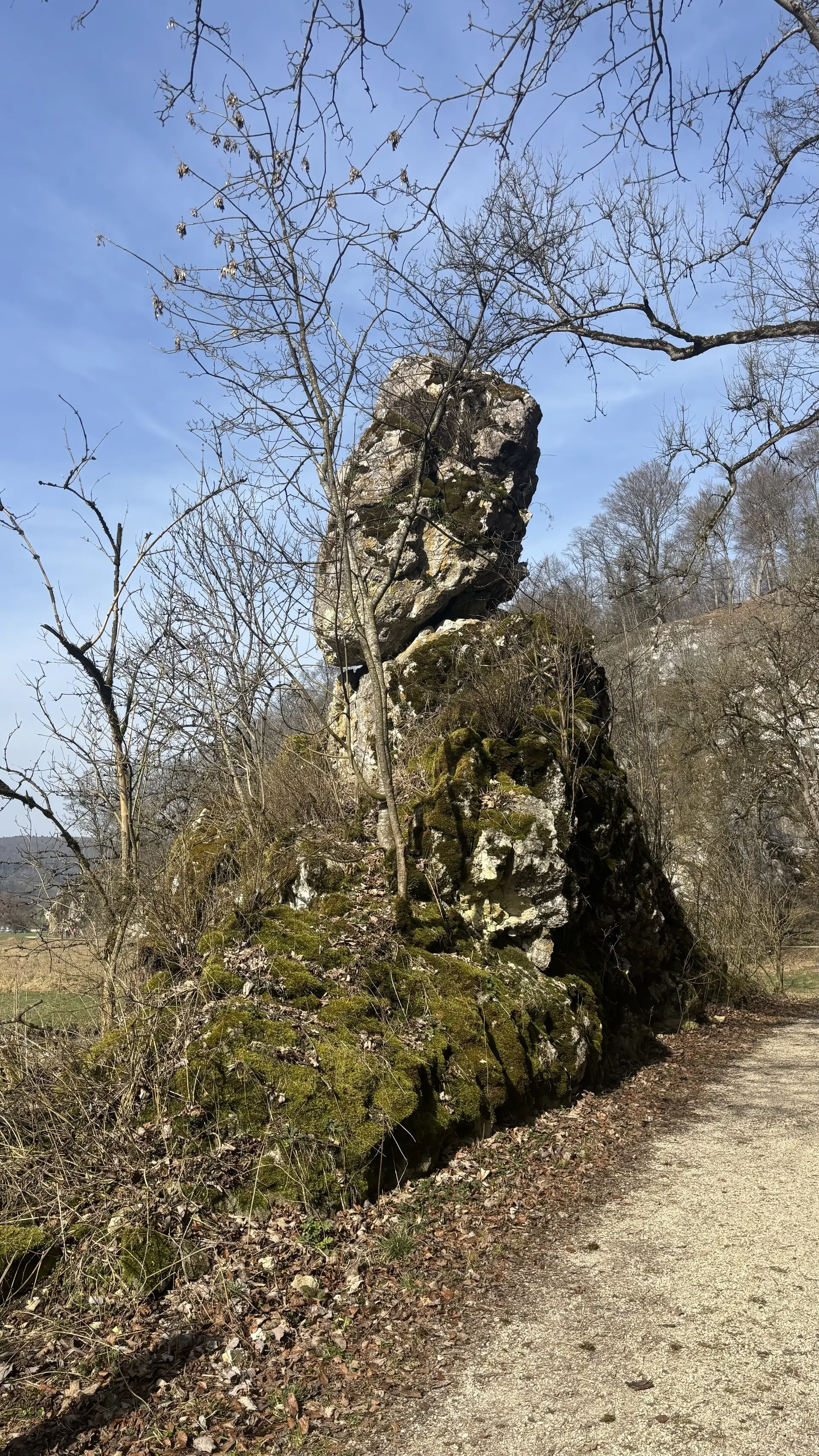 Großer, moosbewachsener Felsen mit einem schmalen, aufrecht stehenden Teil in einer Landschaft mit kahlen Bäumen und einem Weg daneben | © DAV-FN / A. Schech