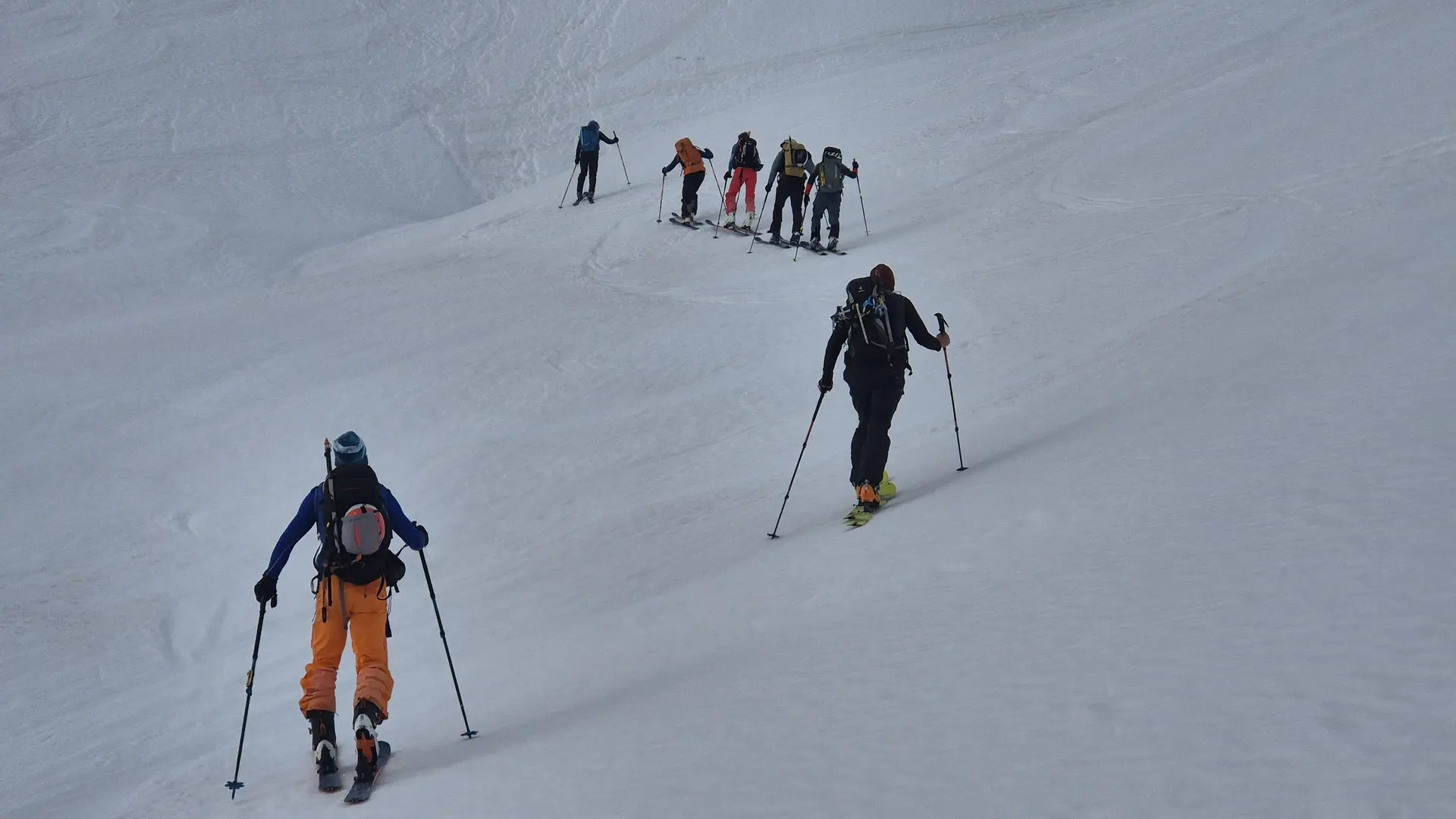 Gruppe von Skitourengehern steigt auf schneebedecktem Hang auf | © DAV-FN / R. Lebedeff
