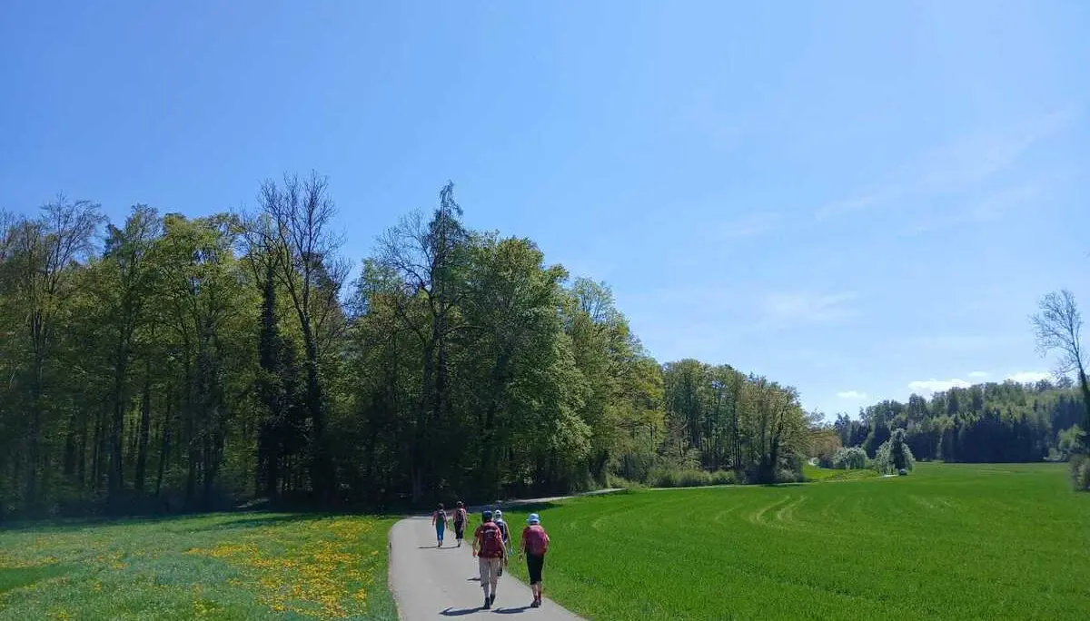 Drei Personen mit Rucksäcken gehen auf einem Weg durch eine grüne Wiese neben einem Wald unter blauem Himmel | © DAV-FN / A. Welte
