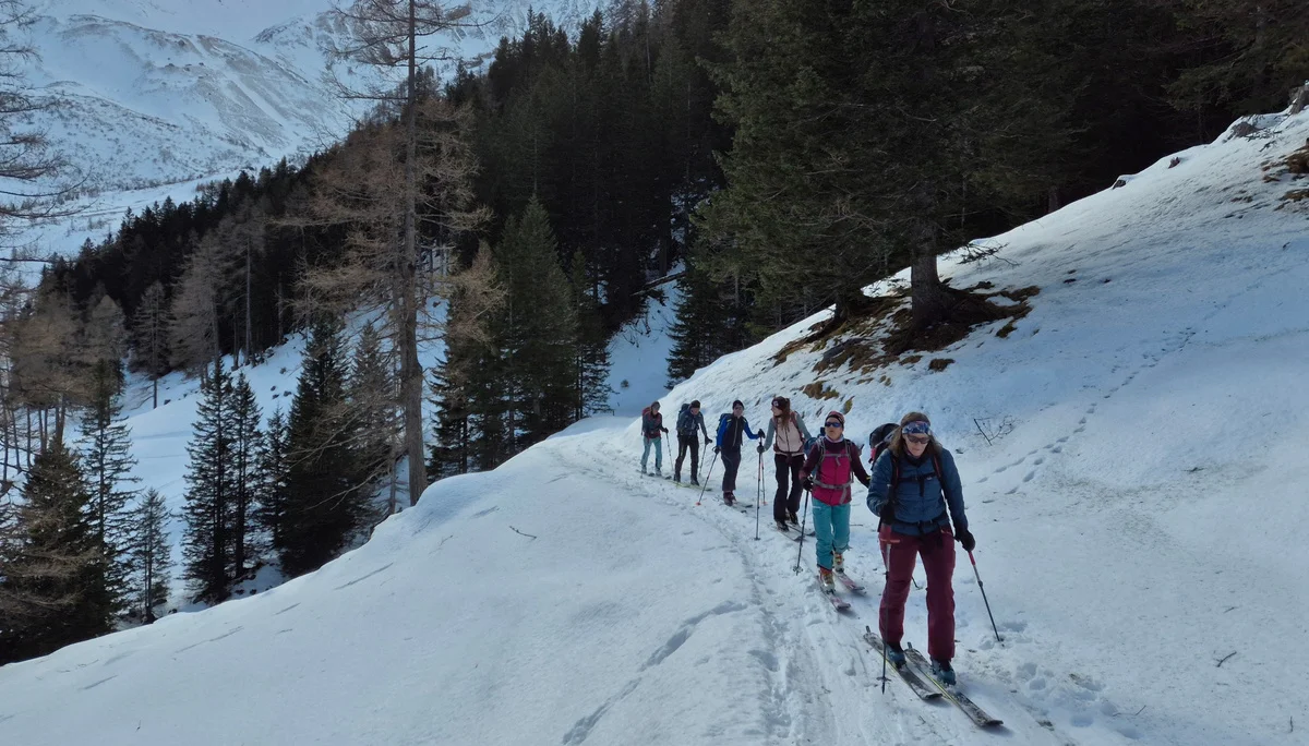 Gruppe von Skitourengehern in einer verschneiten Berglandschaft mit Nadelbäumen und Bergen im Hintergrund | © DAV/Dirk Amos