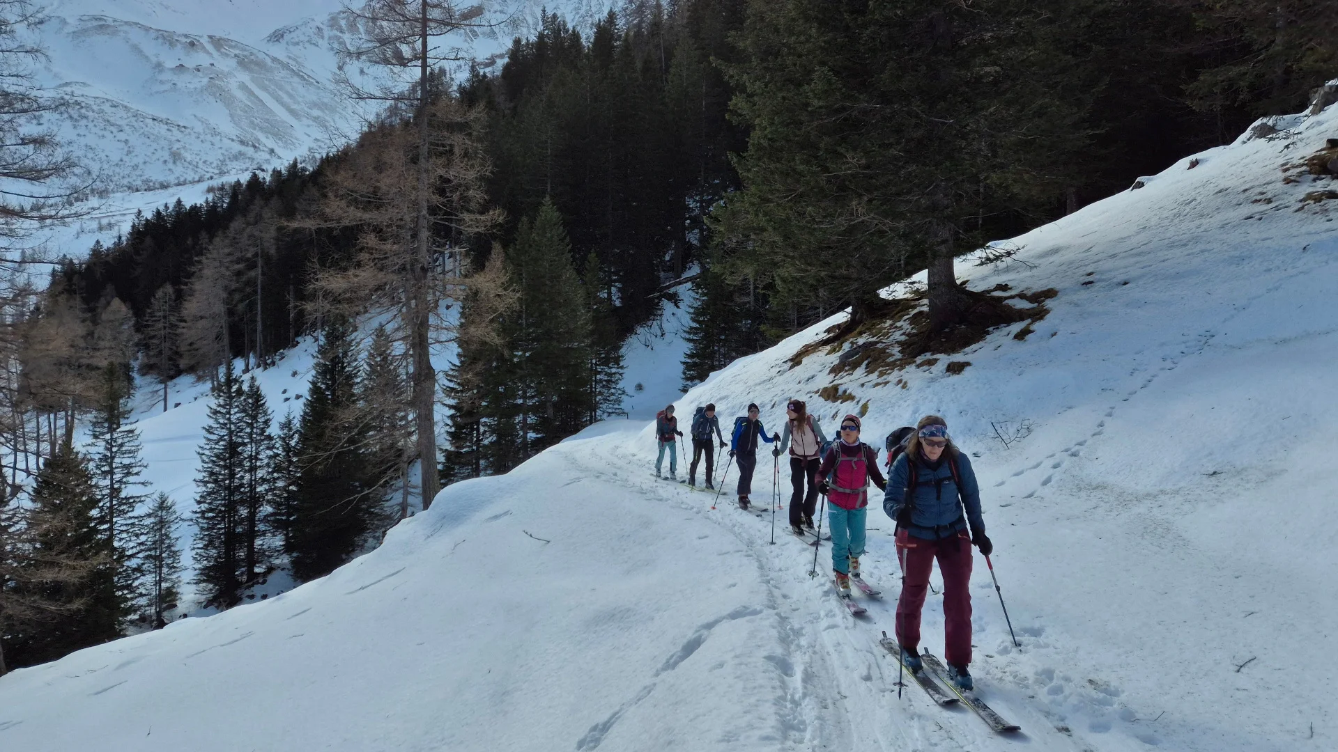 Gruppe von Skitourengehern in einer verschneiten Berglandschaft mit Nadelbäumen und Bergen im Hintergrund | © DAV/Dirk Amos