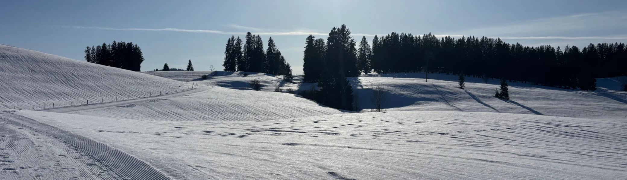 Schneebedeckte Hügellandschaft mit vereinzelten Baumgruppen unter klarem Himmel | © DAV-FN / A. Schech