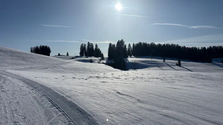 Schneebedeckte Hügellandschaft mit vereinzelten Baumgruppen unter klarem Himmel | © DAV-FN / A. Schech