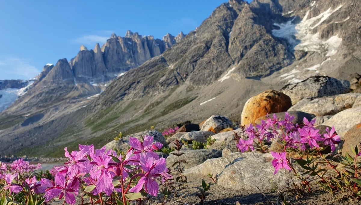 Frauenexpedkader 2023 in Grönland | © DAV / Lea Luithle