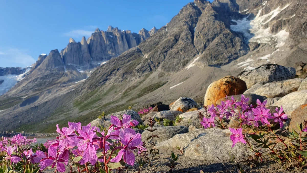 Frauenexpedkader 2023 in Grönland | © DAV / Lea Luithle