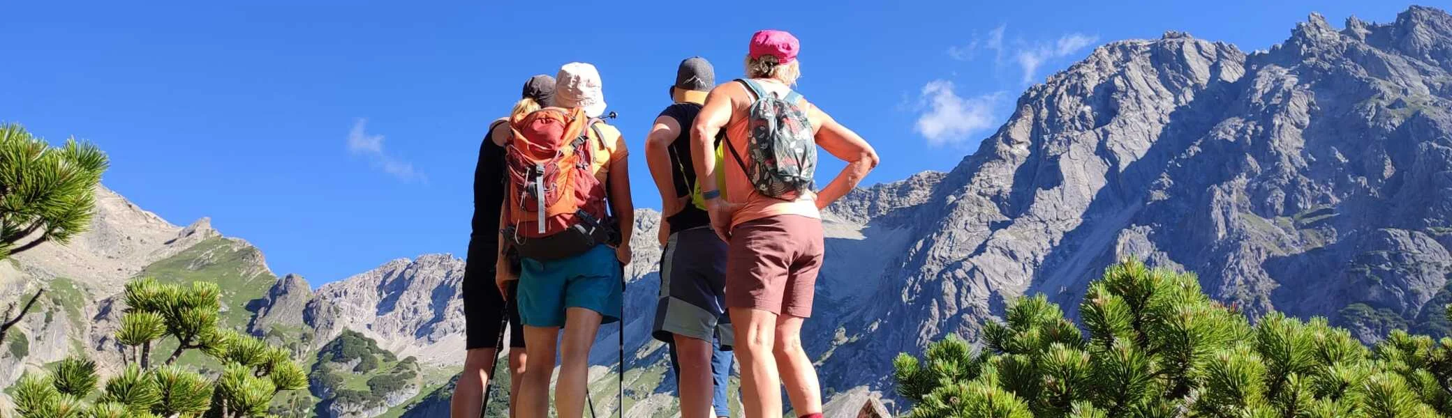 4 Wanderinnen stehen zwischen Latschkiefern und genießen gewaltiges Berpanorama | © DAV-FN /  B. Knecht