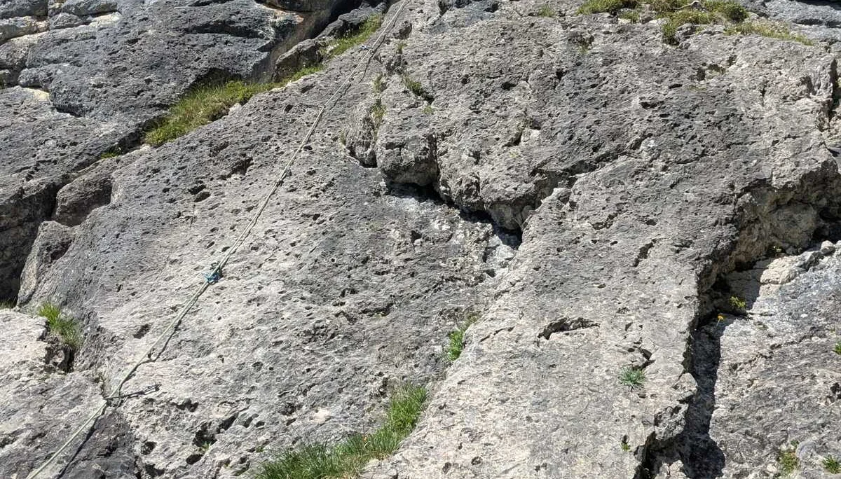 Eine Kletterinnen im Vorstieg in einer grasdurchwachsenen Felswand | © DAV-FN /  M. Sturm