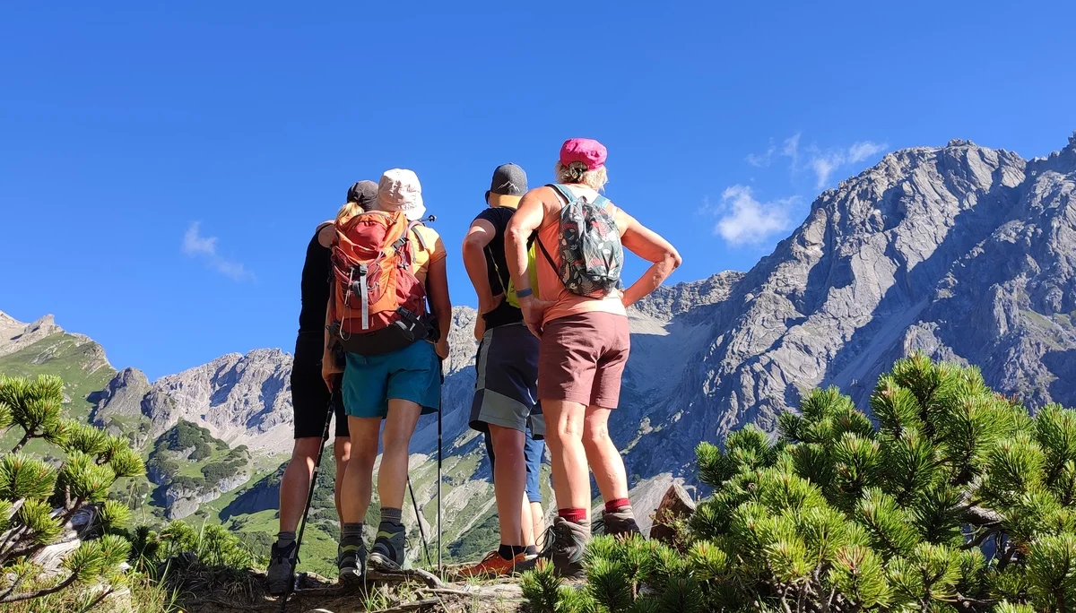 4 Wanderinnen stehen zwischen Latschkiefern und genießen gewaltiges Berpanorama | © DAV-FN /  B. Knecht