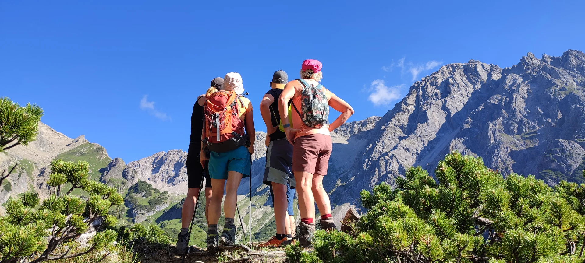 4 Wanderinnen stehen zwischen Latschkiefern und genießen gewaltiges Berpanorama | © DAV-FN /  B. Knecht
