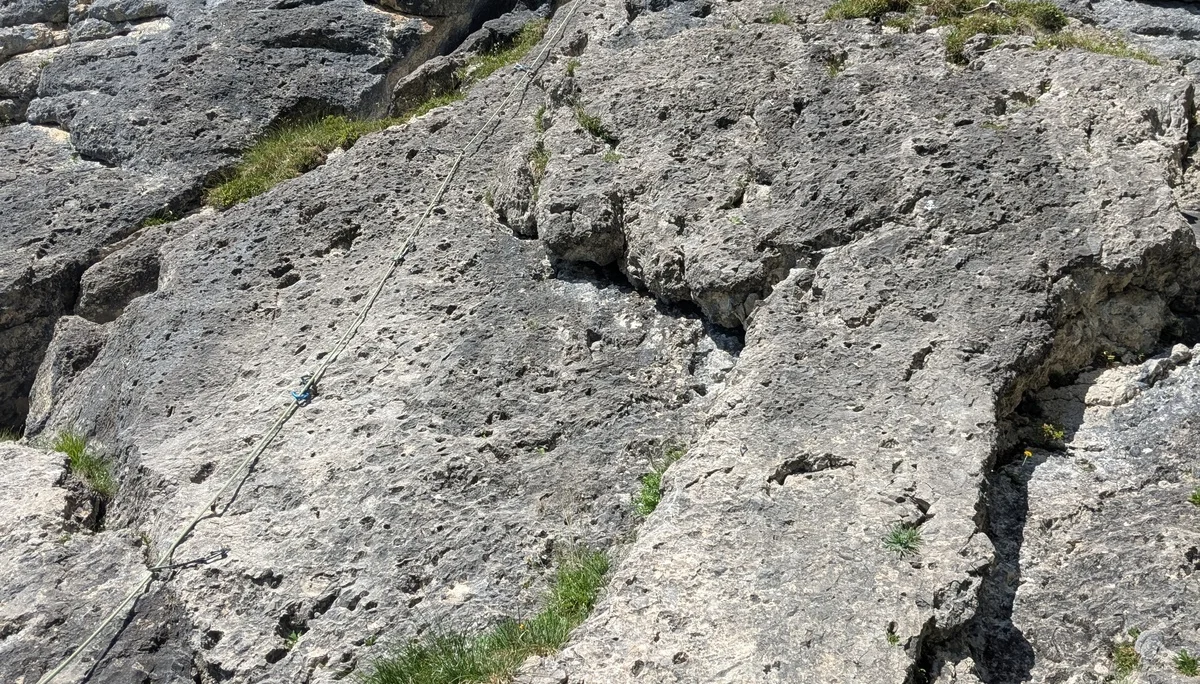 Eine Kletterinnen im Vorstieg in einer grasdurchwachsenen Felswand | © DAV-FN /  M. Sturm