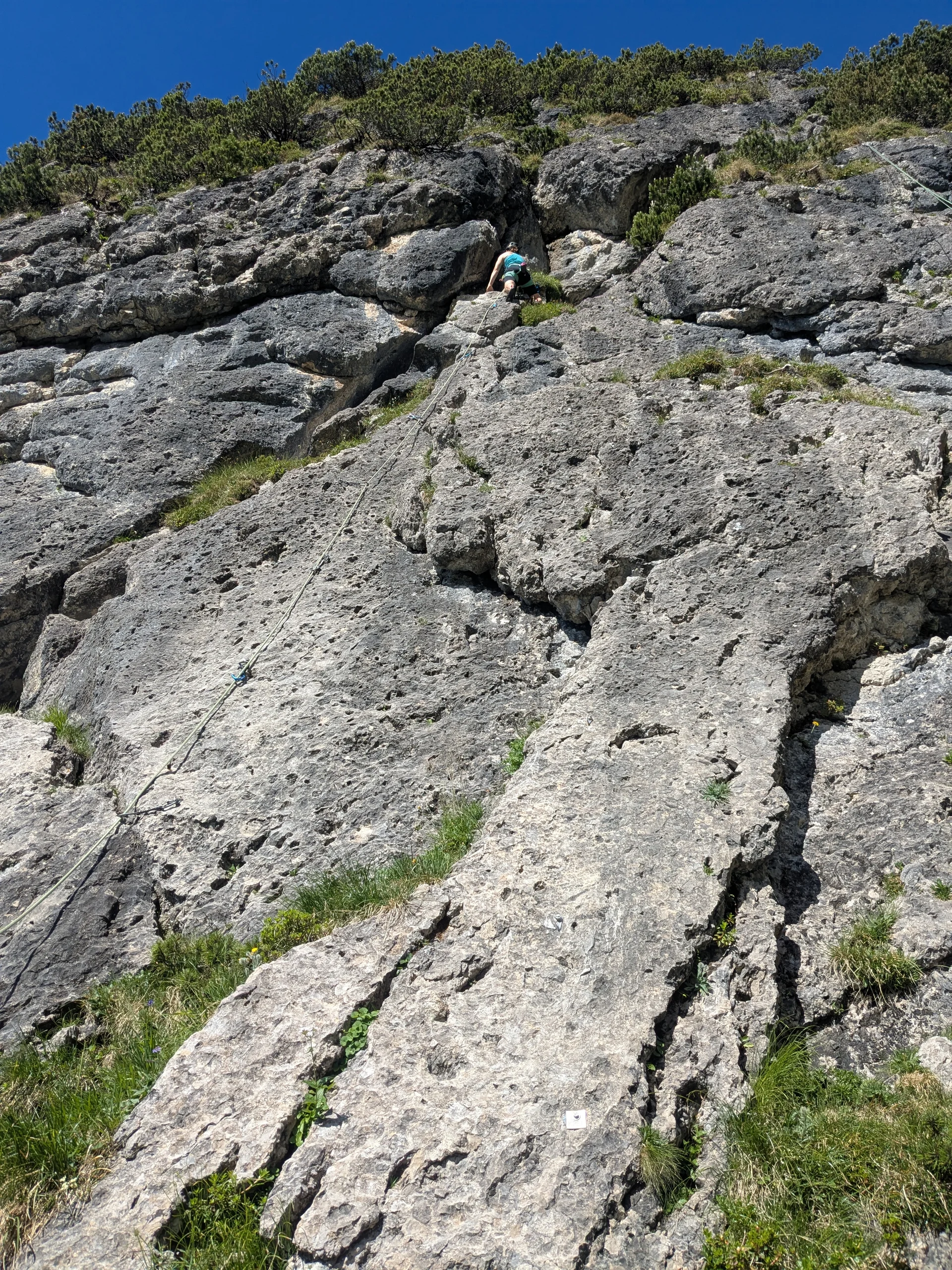 Eine Kletterinnen im Vorstieg in einer grasdurchwachsenen Felswand | © DAV-FN /  M. Sturm