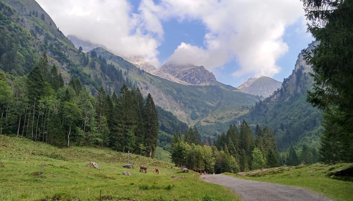 Laufbacher Eck ins Oytal | © DAV-FN/T. Huber