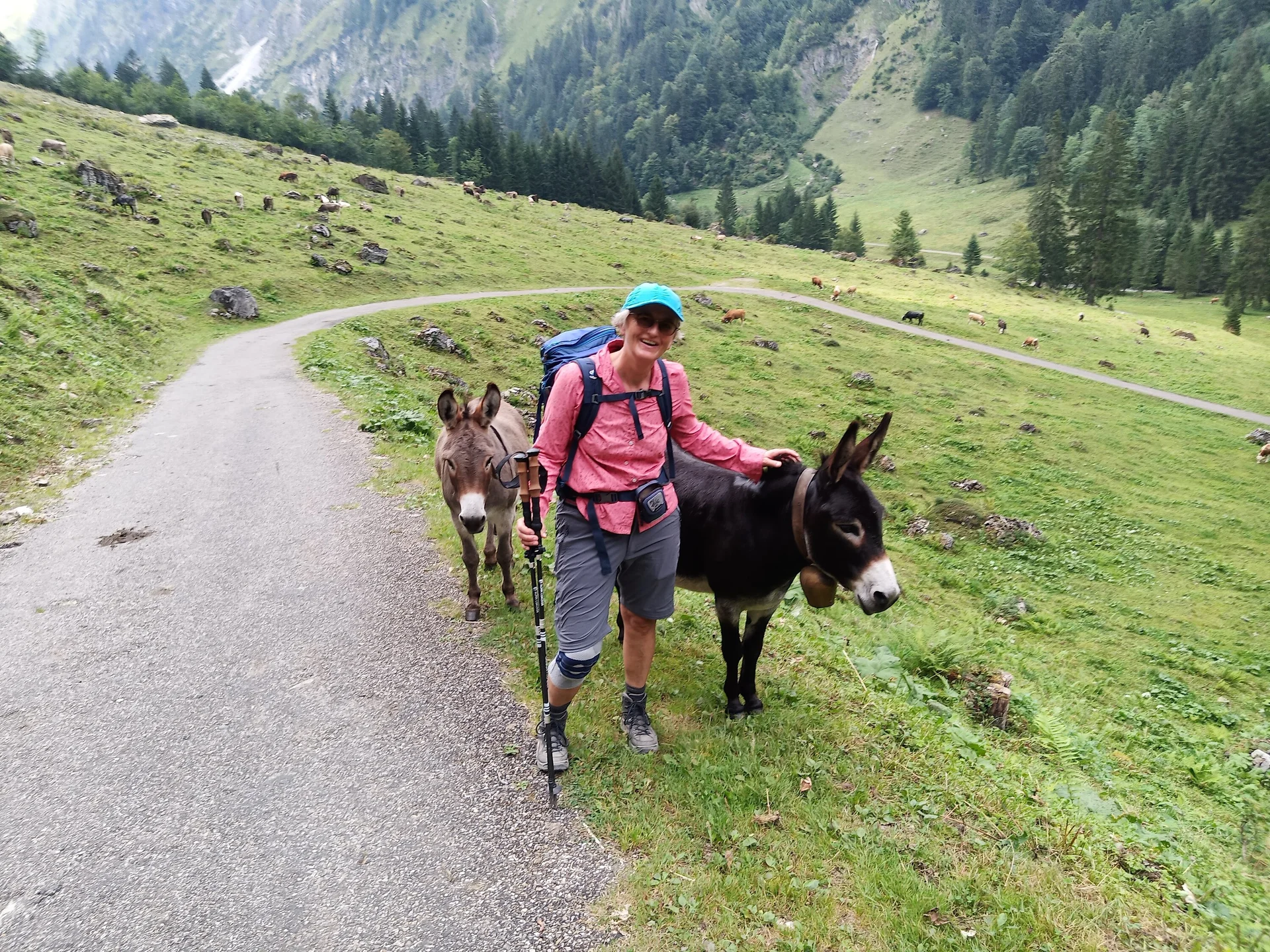 Laufbacher Eck ins Oytal | © DAV-FN/T. Huber