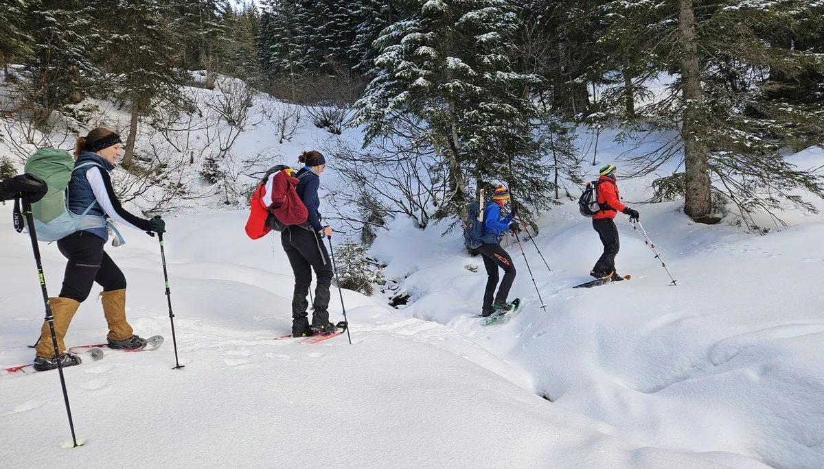 Schneeschuhkurs 11.-12.01.2025 | © DAV-FN / J. Schababerle