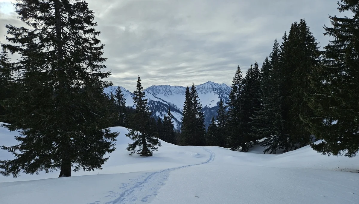 Schneeschuhkurs 11.-12.01.2025 | © DAV-FN / J. Schababerle