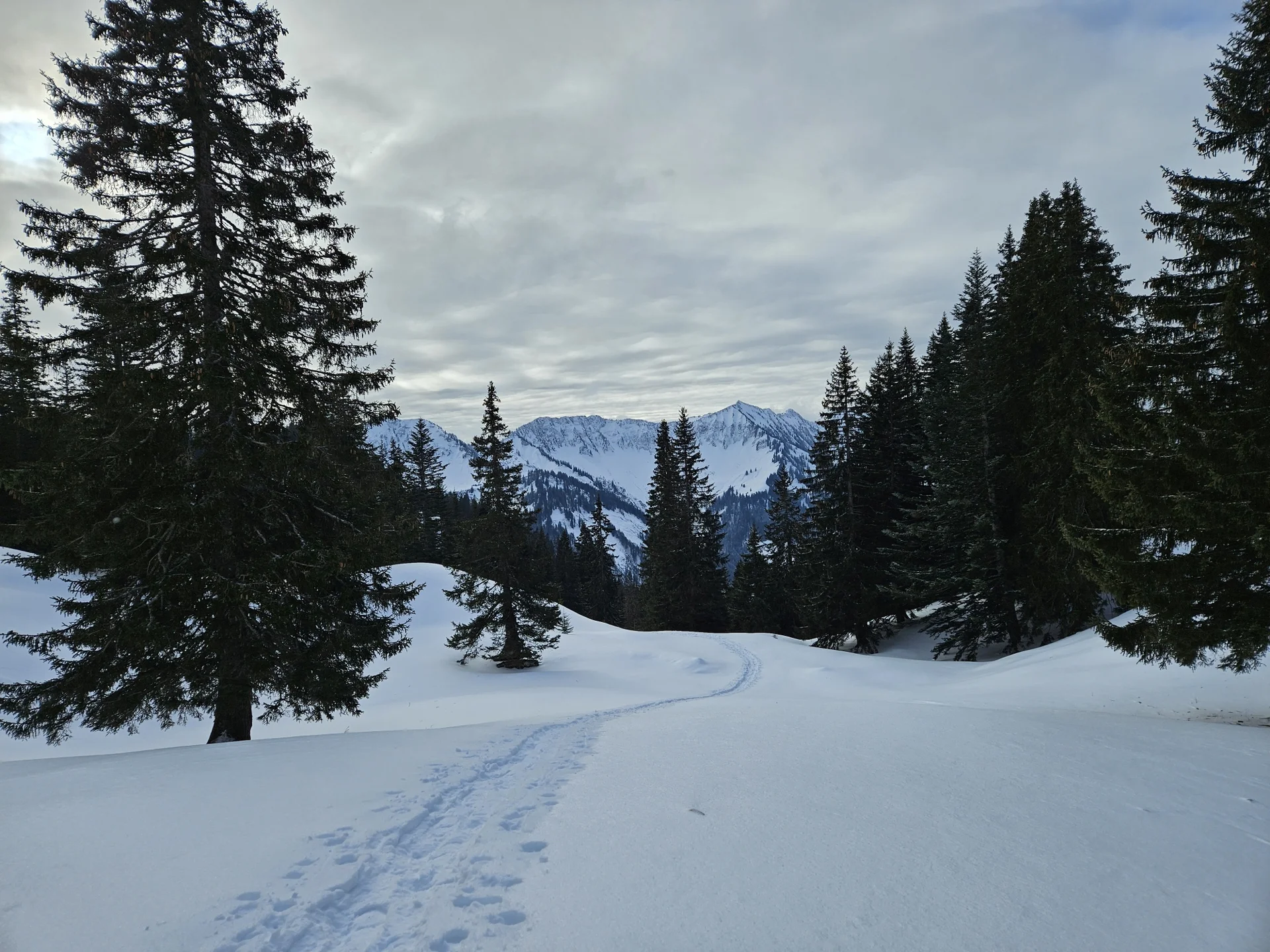 Schneeschuhkurs 11.-12.01.2025 | © DAV-FN / J. Schababerle