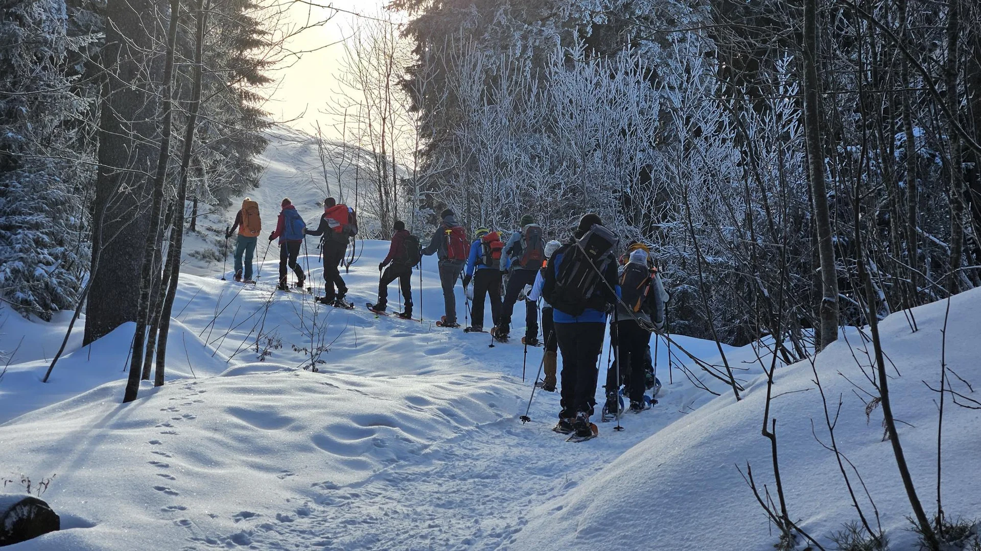 Schneeschuhkurs 11.-12.01.2025 | © DAV-FN / J. Schababerle