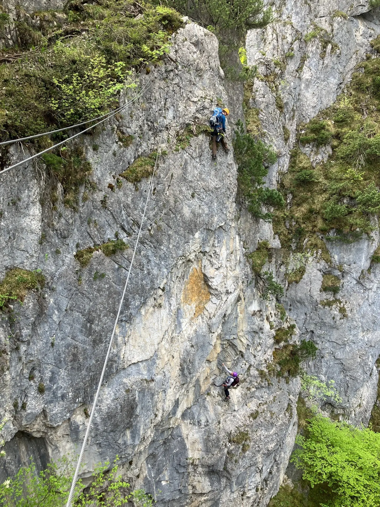 Zwei Kletterer an steiler Felswand mit Sicherungsseilen und umgeben von Vegetation | © DAV-FN / L. Fischer