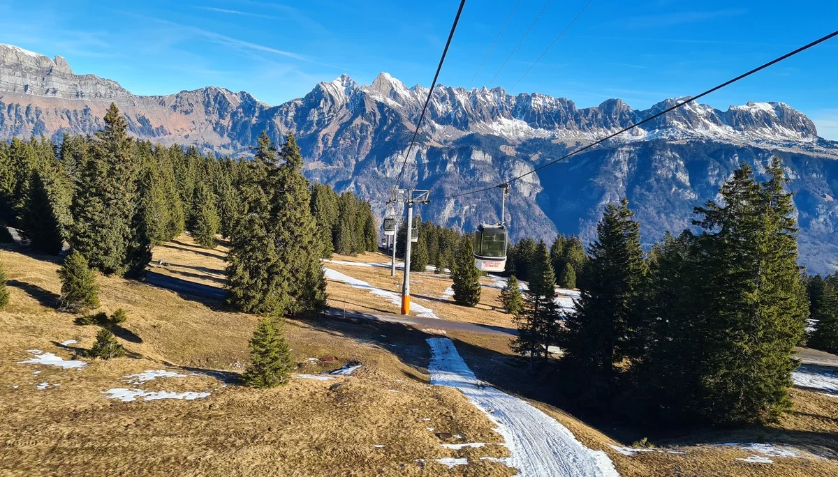 Seilbahn über schneefreies Bergwiesenareal mit Nadelbäumen und schneebedeckten Alpen im Hintergrund | © DAV-FN / C. Erbelding