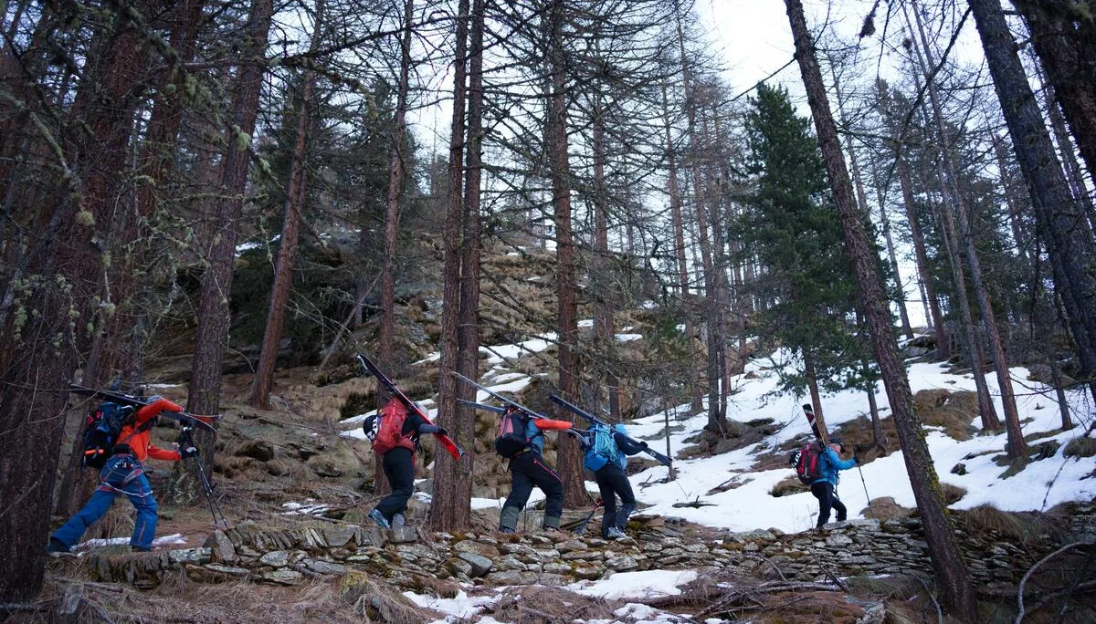 Fünf Skitourengeher steigen mit Skiern auf dem Rücken durch einen verschneiten Wald bergauf. | © DAV-FN / R. Gersten u. L. Chr. Fischer