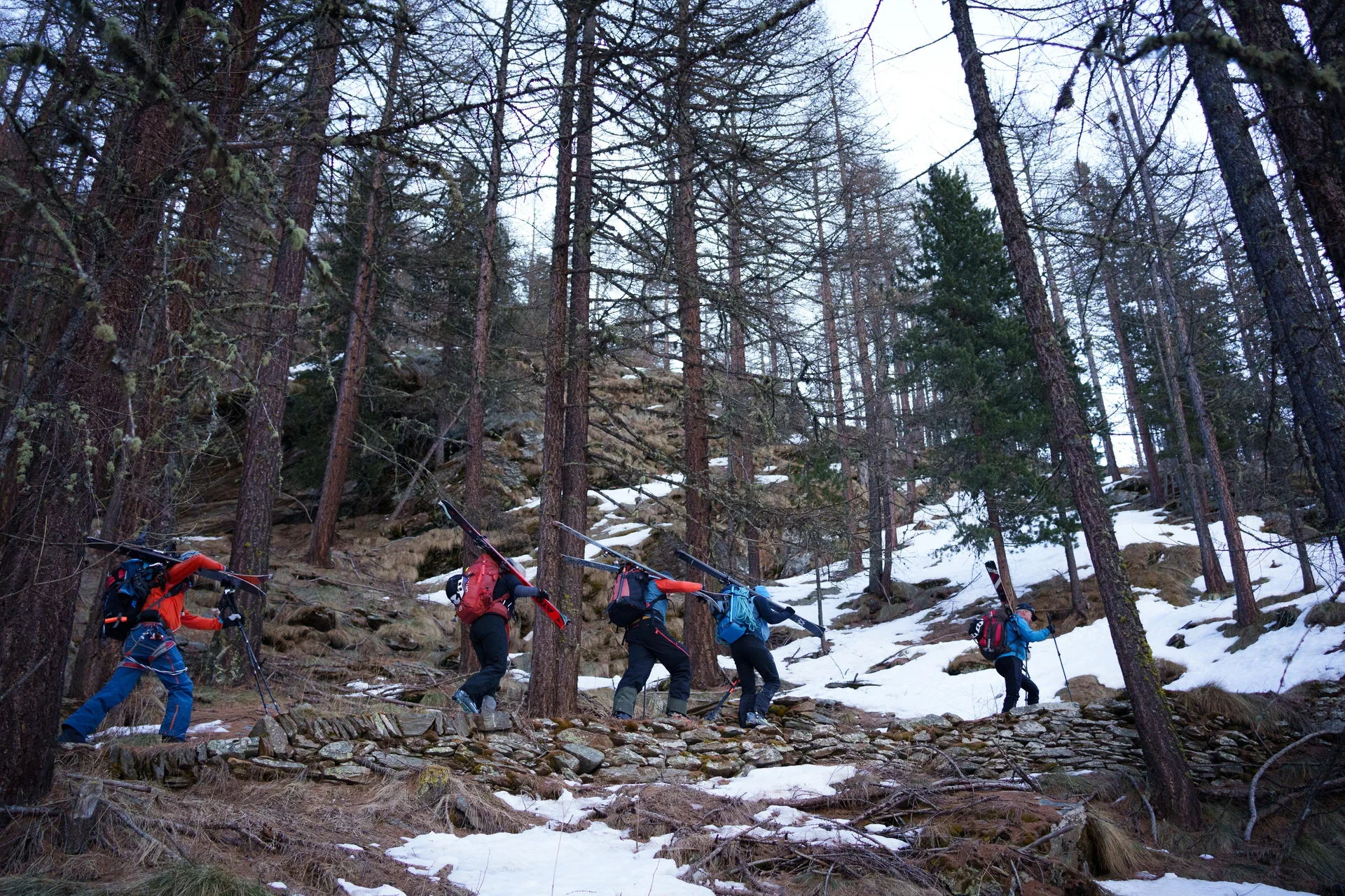 Fünf Skitourengeher steigen mit Skiern auf dem Rücken durch einen verschneiten Wald bergauf. | © DAV-FN / R. Gersten u. L. Chr. Fischer