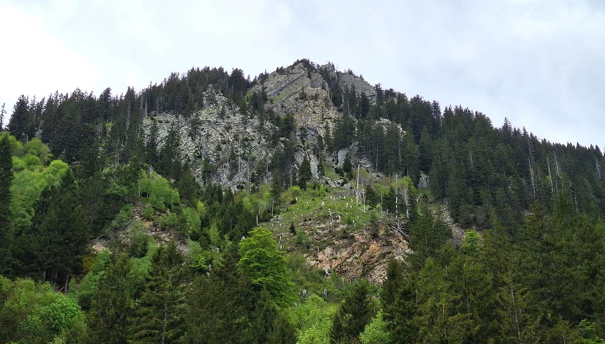 Das Burgberger Hörnle von weitem, ein mit Felsen durchsetzter bewaldeter Gipfel | © DAV-FN / R. Huber