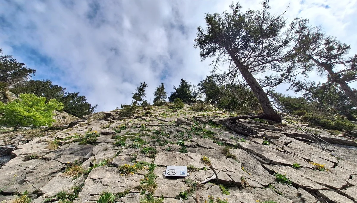 Blick auf die Einstiegswand noch oben | © DAV-FN / R. Huber