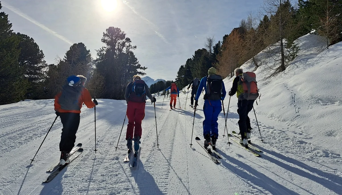 Sechs Skifahrer mit Rucksäcken steigen auf einer sonnigen, schneebedeckten Piste bergauf, umgeben von Bäumen | © DAV-FN / R.Lebedeff, D. Lexen