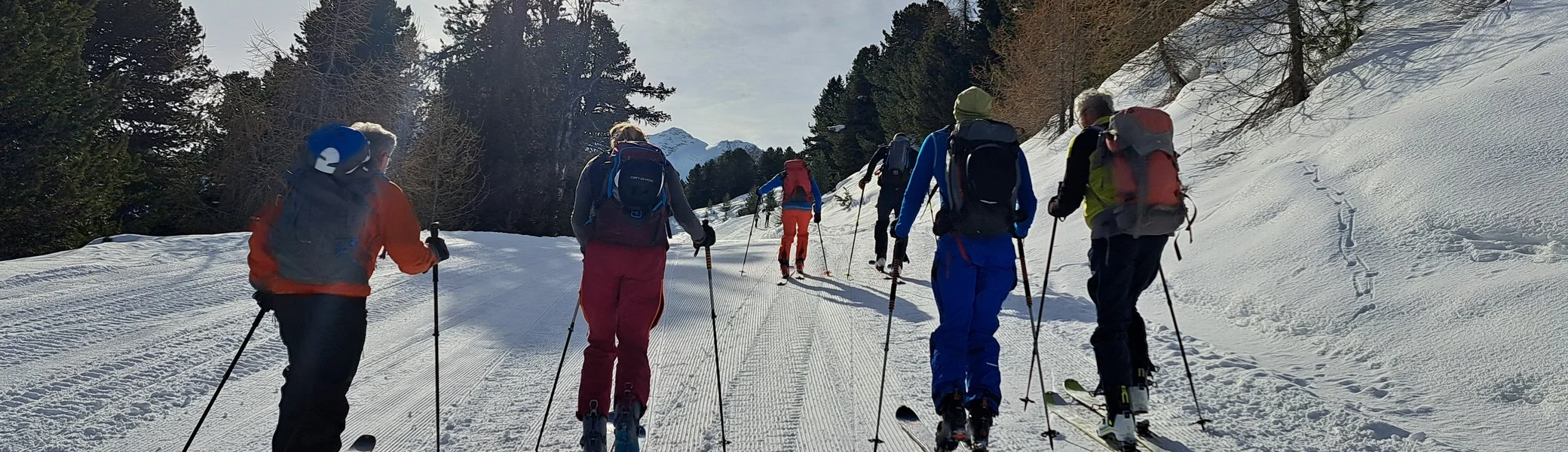 Sechs Skifahrer mit Rucksäcken steigen auf einer sonnigen, schneebedeckten Piste bergauf, umgeben von Bäumen | © DAV-FN / R.Lebedeff, D. Lexen