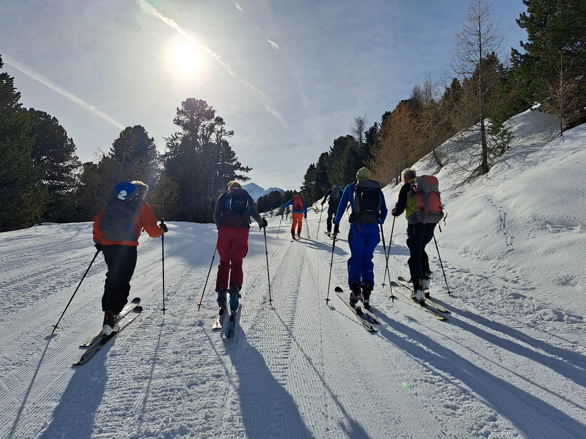 Sechs Skifahrer mit Rucksäcken steigen auf einer sonnigen, schneebedeckten Piste bergauf, umgeben von Bäumen | © DAV-FN / R.Lebedeff, D. Lexen